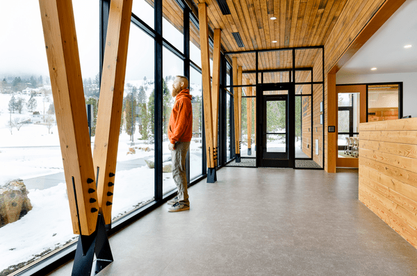 mass timber forestry office